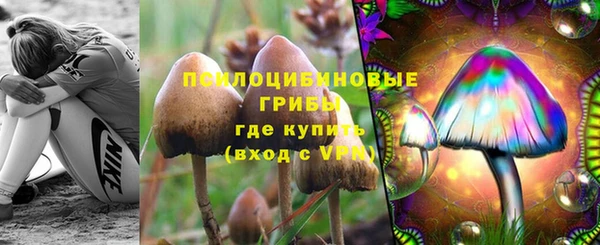 мескалин Баксан